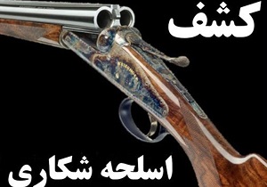 ۴ قبضه سلاح از متخلفان زیست محیطی در رومشکان کشف و ضبط شد