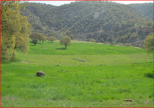 آنچه در استان&zwnj;ها گذشت؛