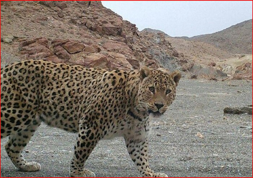 آنچه در استان&zwnj;ها گذشت؛