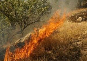 ۳۰ هکتار از اراضی پلنگ دره قم طعمه حریق شد