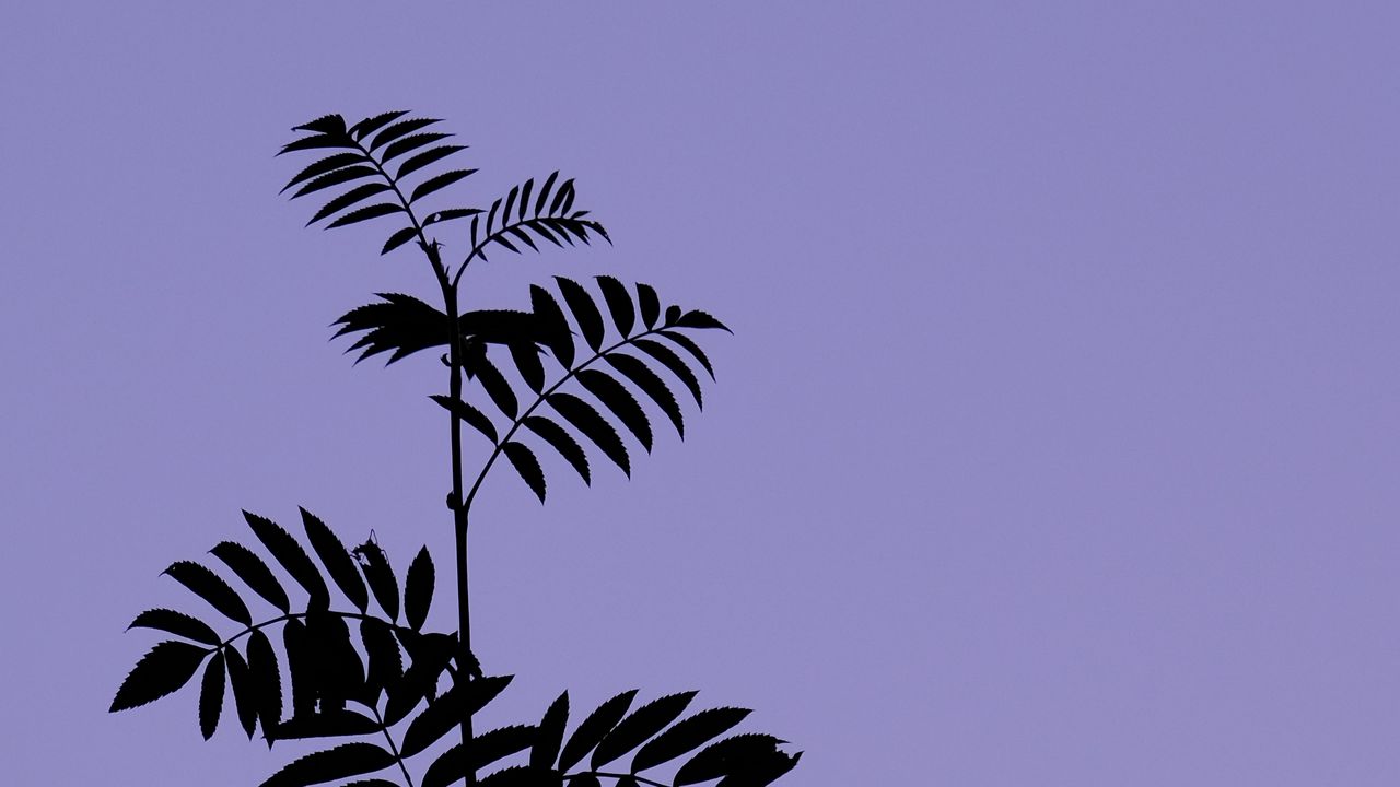 جذابترین تصاویر پس زمینه (۲۴ تیر) برترین تصاویر پسزمینه (۱۷ خرداد)