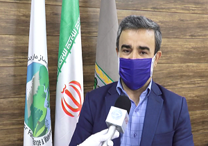 با تخریب کنندگان مراتع و جنگل&zwnj;های اردبیل برخورد جدی می&zwnj;شود/ توزیع ۳ میلیون اصله نهال صنوبر در اردبیل