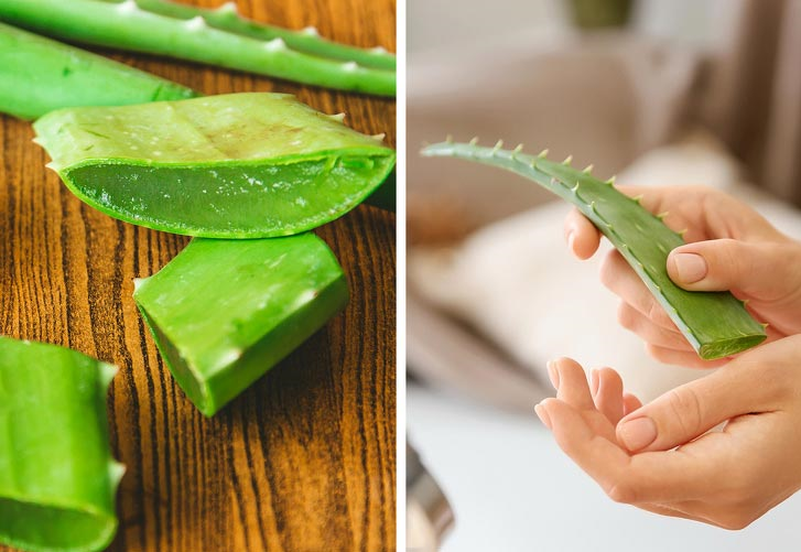 ۱۰ ماده طبیعی برای بهبود انواع زخم را بشناسید