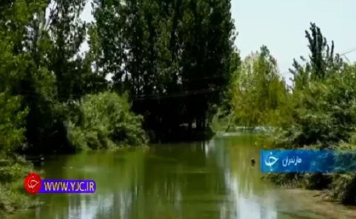 همسایه تالاب و بی بهره از آب+فیلم