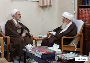 مدیر حوزه‌های علمیه به دیدار آیت الله صافی گلپایگانی رفت