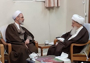 دیدار مدیر حوزه&zwnj;های علمیه با آیت الله صافی گلپایگانی