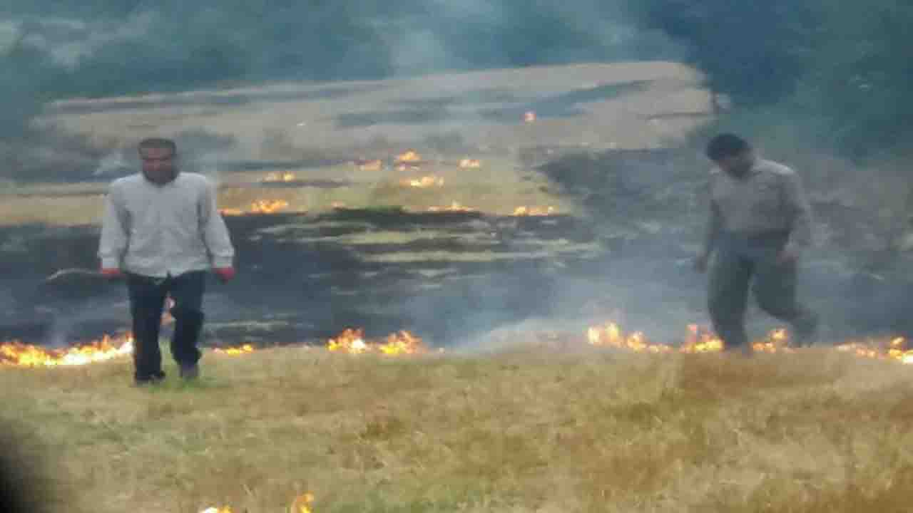 آتش زدن کاه و کلش ۷ کشاورز گلوگاهی را به دادگاه کشاند