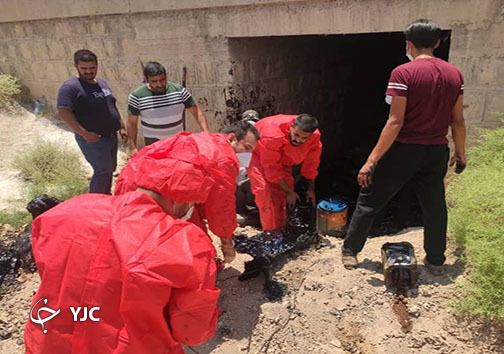 سقوط ۱۵ راس گوسفند به گودال قیر در جاده سروستان
