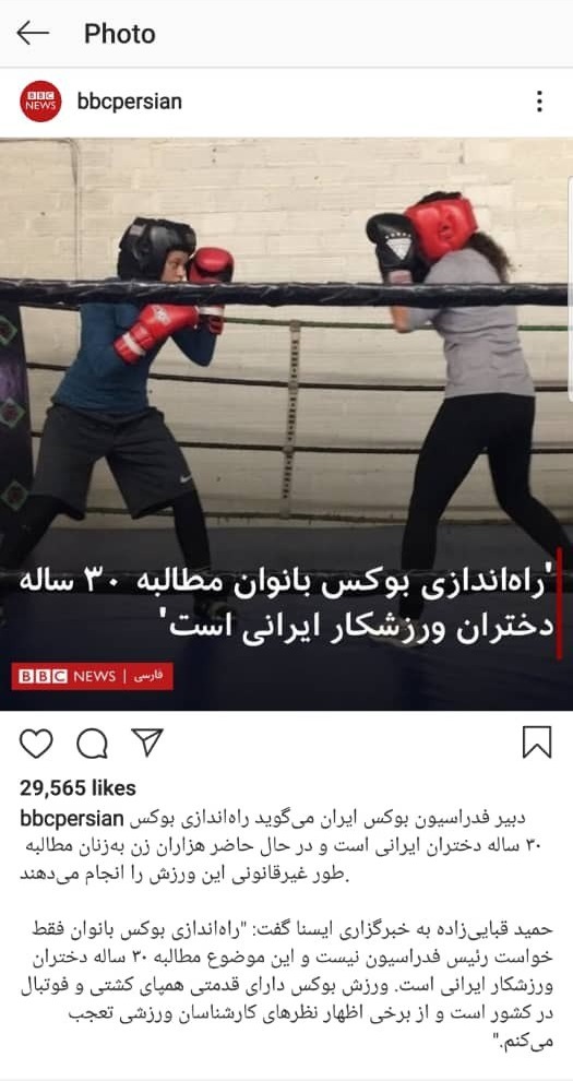 دبیر فدراسیون بوکس خوراک رسانه های معاند را جور کرد دبیر فدراسیون بوکس خوراک رسانه های معاند را جور کرد