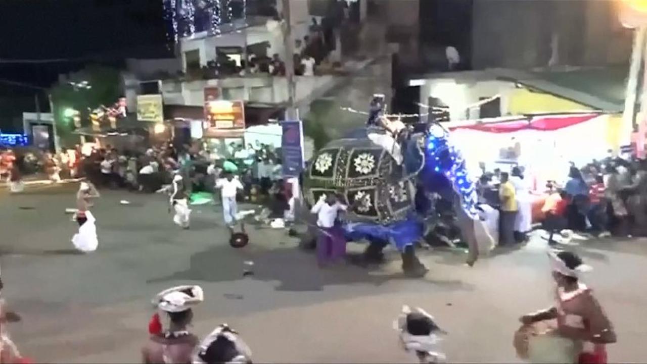 فیل خشمگینی که ۱۷ نفر را تا مرگ حتمی پیش برد + فیلم