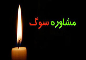 ارائه مشاوره سوگ به ۲۴۷ نفر در خراسان شمالی