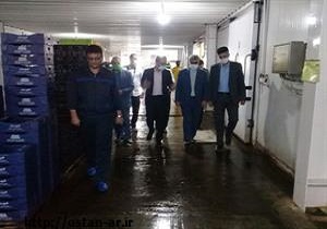 رشد ۱۱ صدم مترمربعی سرانه ورزشی استان اردبیل