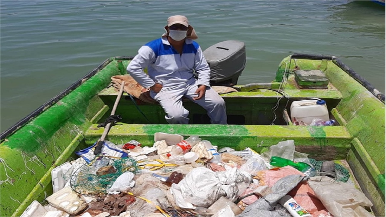 خور بندر دیلم پاکسازی شد