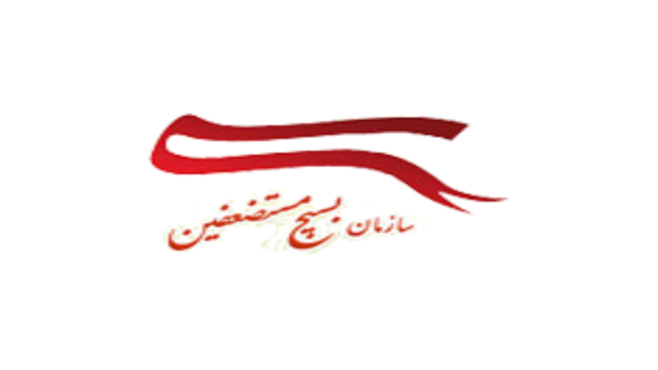 تقدیر رئیس بسیج مستضعفین از سردار سلیمانی