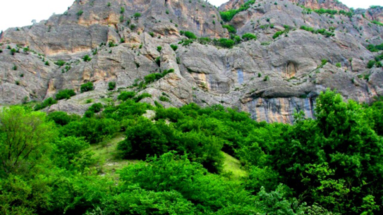 اختصاص یک میلیارد و ۲۰۰ میلیون تومان به پارک ملی گلستان