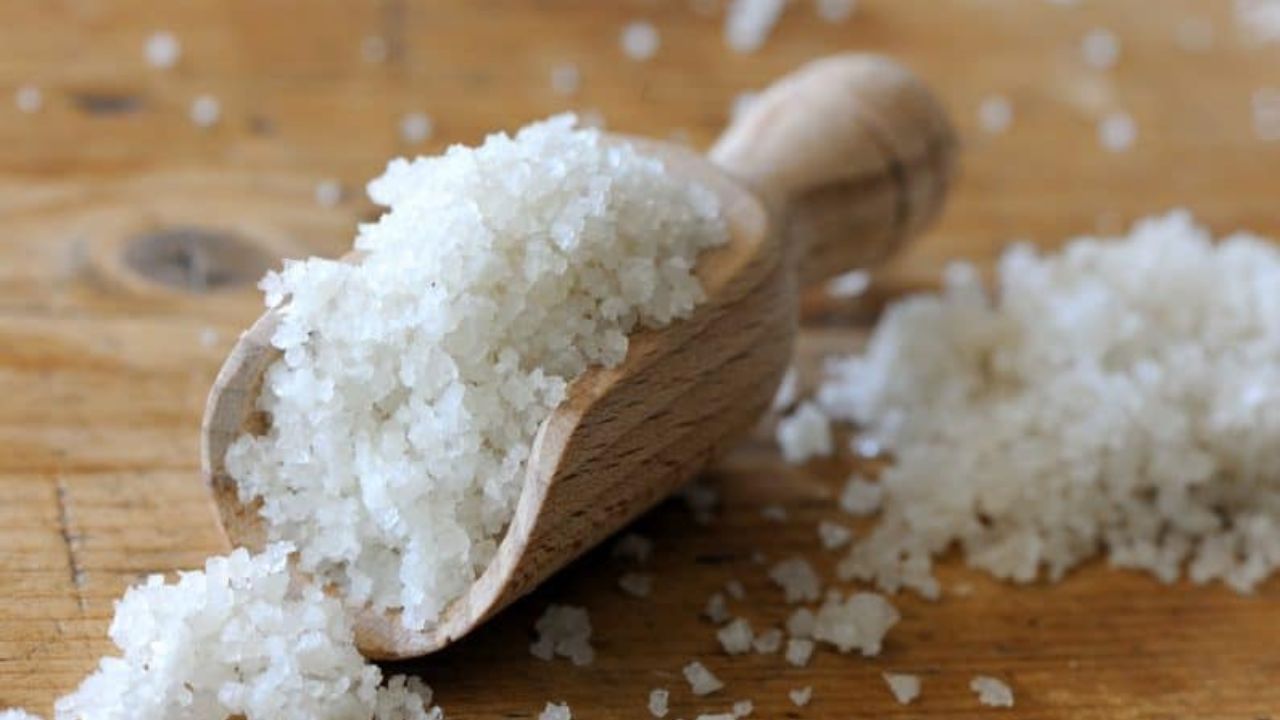 نمک حاصل دست بخشنده طبیعت/از سراب تا سرچشمه