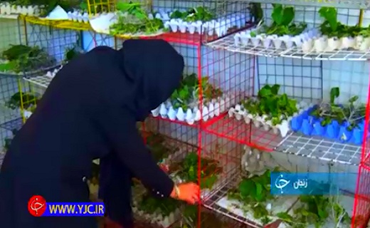 گزارش تصویری