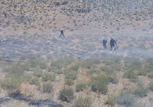 آتش سوزی در بادامستان های حومه دهدشت مهار شد