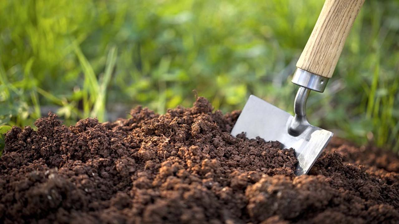 خصوصیات خاک مناسب برای رشد گیاهان چیست؟