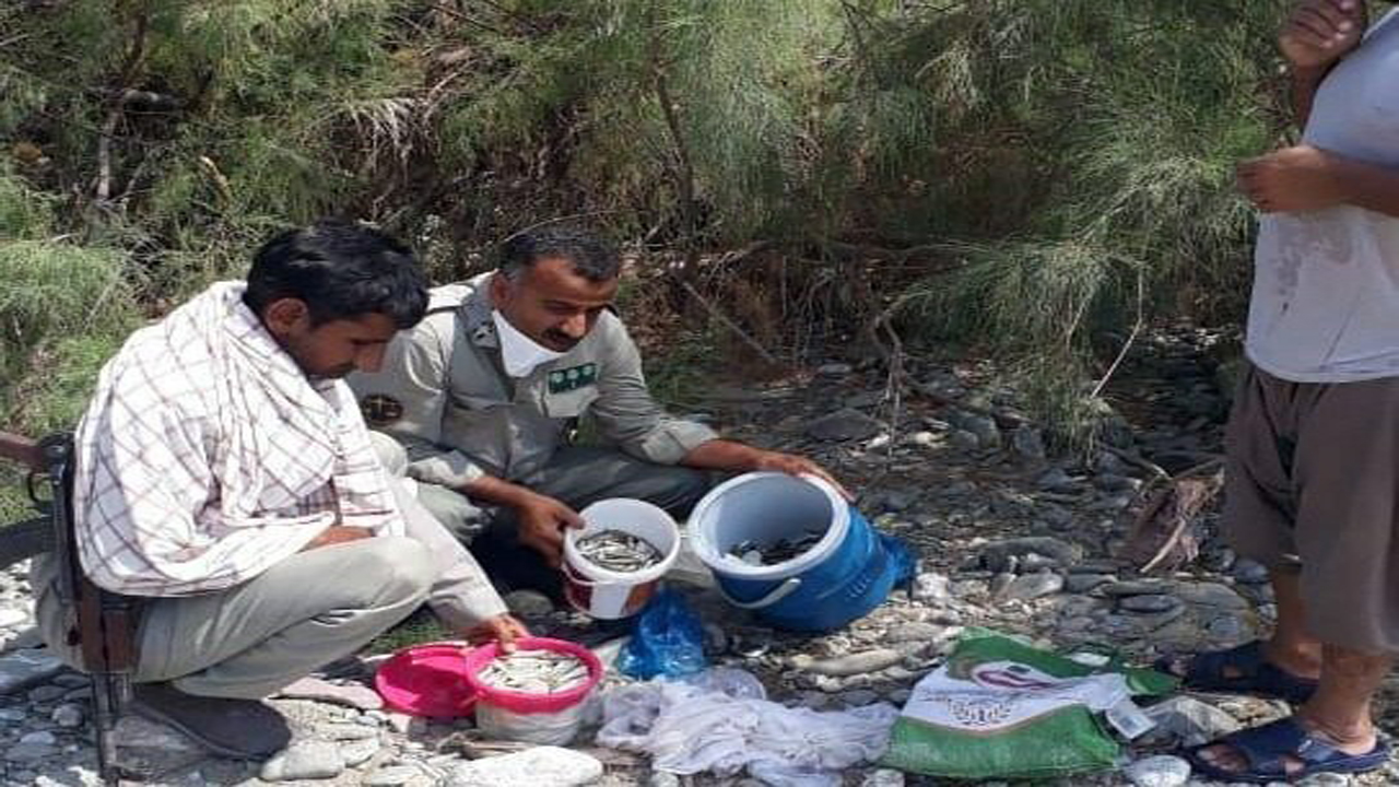 بی رحم ترین شکارچی کشور دستگیر شد