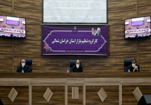 تعیین قیمت مرغ با رعایت حقوق تولید کننده و مصرف کننده