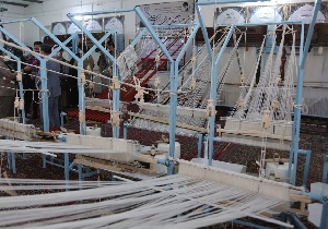 تجهیز ۶۰ کارگاه اشتغال خانگی در خراسان جنوبی