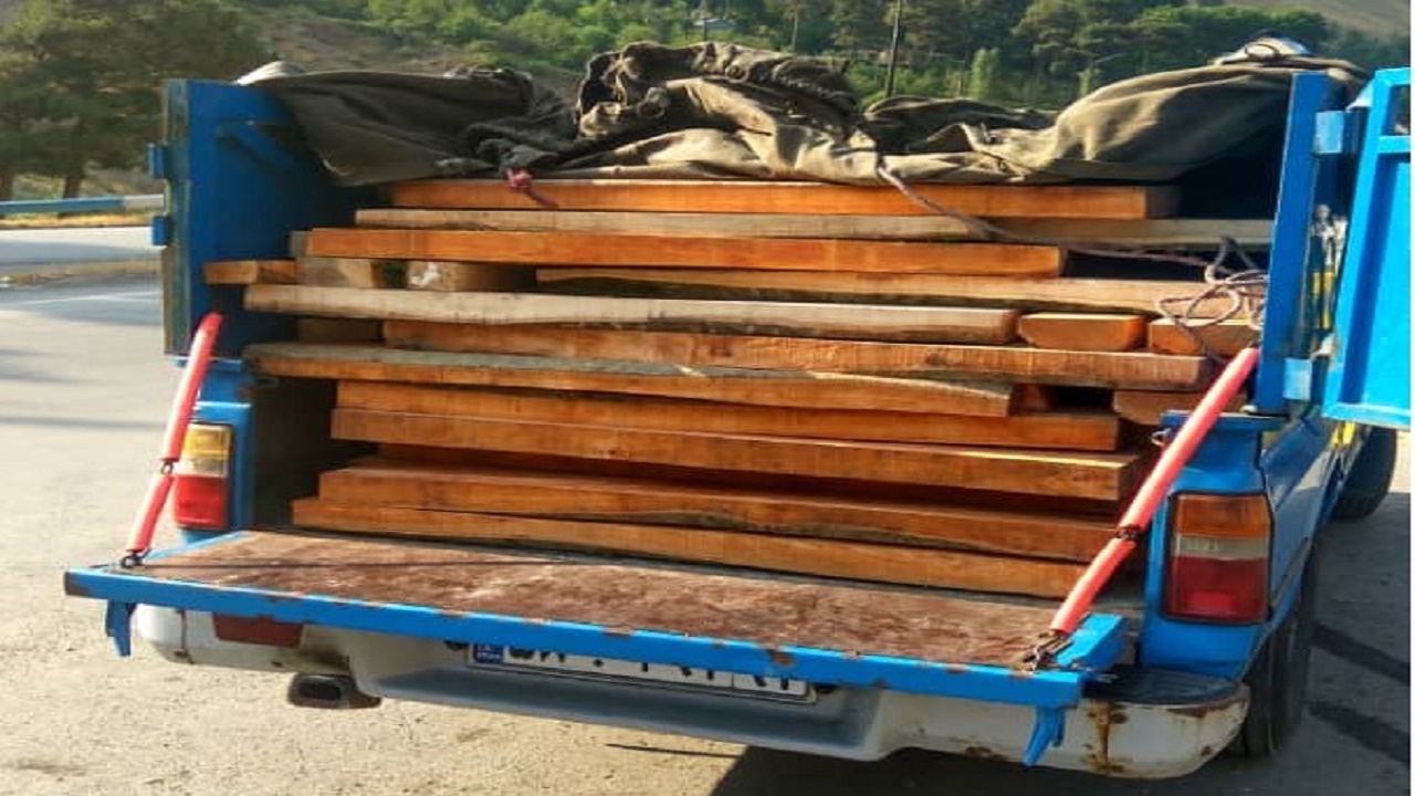 کشف چوب جنگلی قاچاق در محور هراز