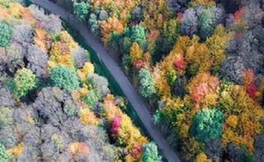 پایان کشمکش بر سر مالکیت اراضی جنگلی حاشیه گرگان