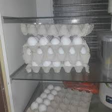 ممنوعیت عرضه تخم پرندگان به صورت شانه‌ای و خارج از یخچال