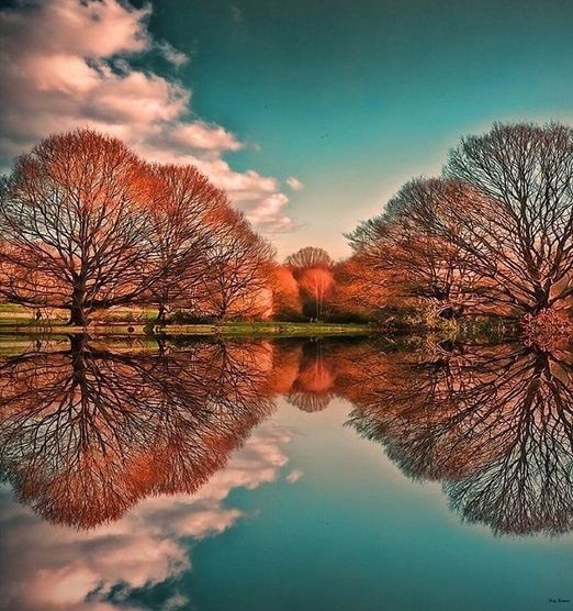 انعکاس نور در آب؛ سوژه پرطرفدار در عکاسی+ تصاویر