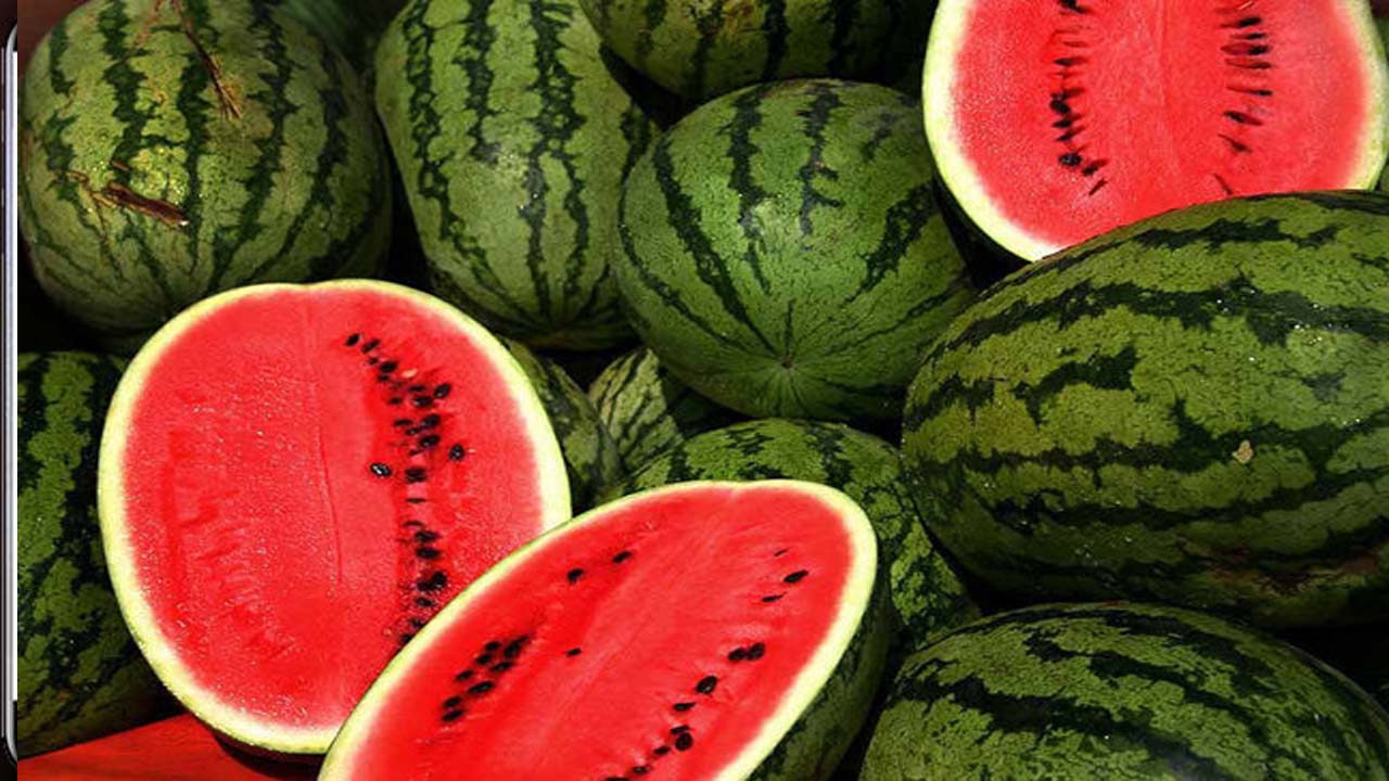 اطلاعاتی جالب و کمتر شنیده‌شده از هندوانه