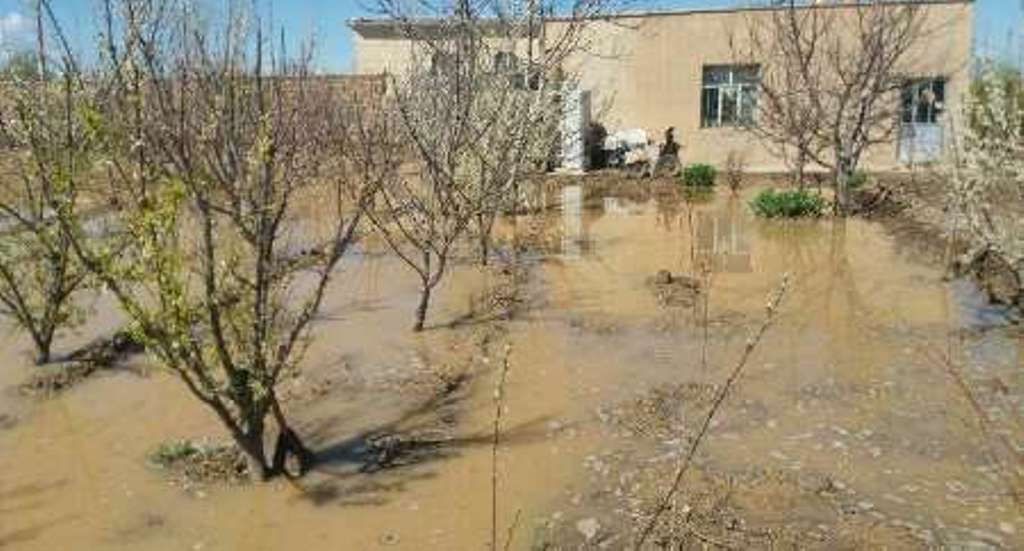 ۴۰ درصد از باغ‌های آزادشهر در سیل اخیر خسارت دید