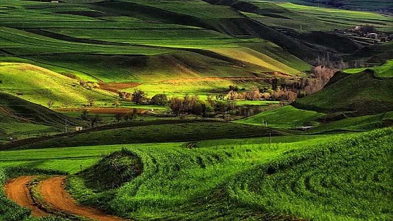 دشت مغان در قابی بی‌نظیر + عکس
