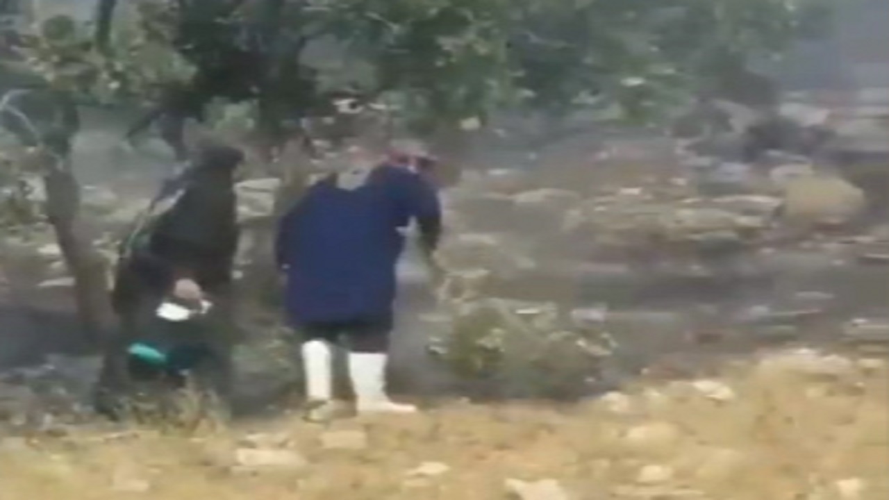 تلاش زنان روستای دمچنار برای خاموش کردن آتش جنگل + فیلم