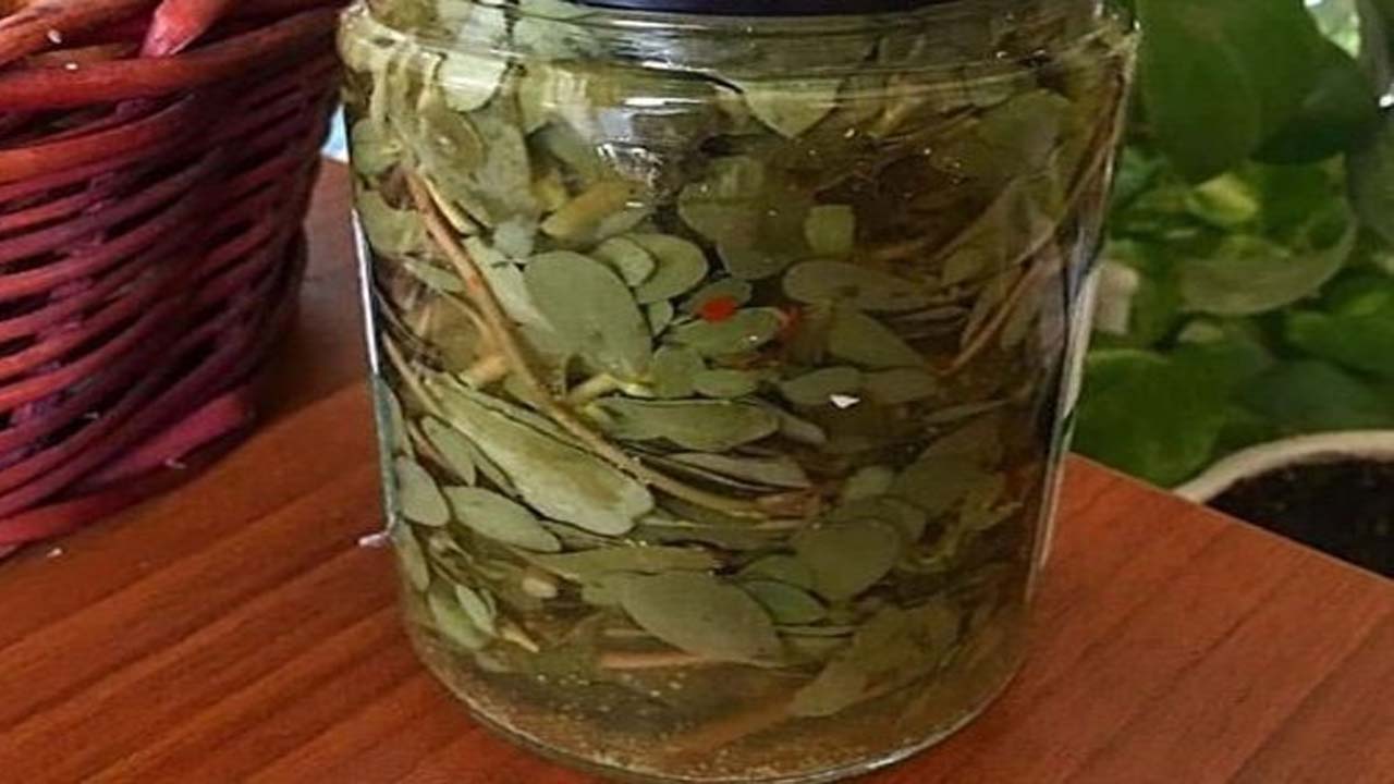 ترشی خرفه + طرز تهیه