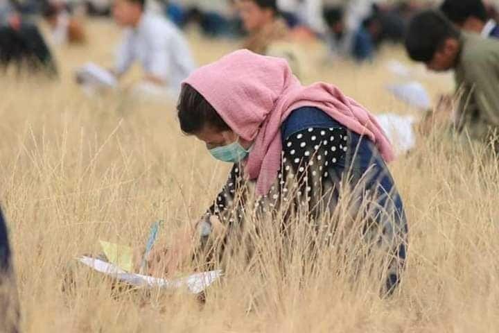 تصاویر: برگزاری آزمون کانکور در ولایت دایکندی