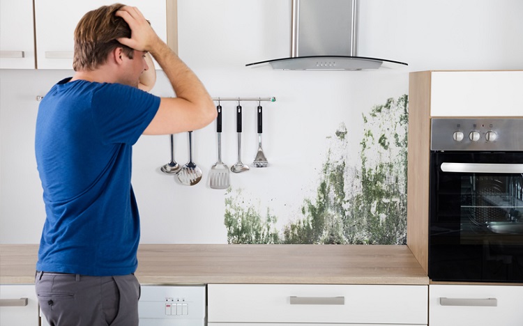رطوبت و نم خانه را چگونه رفع کنیم؟ رطوبت و نم خانه را چگونه رفع کنیم؟