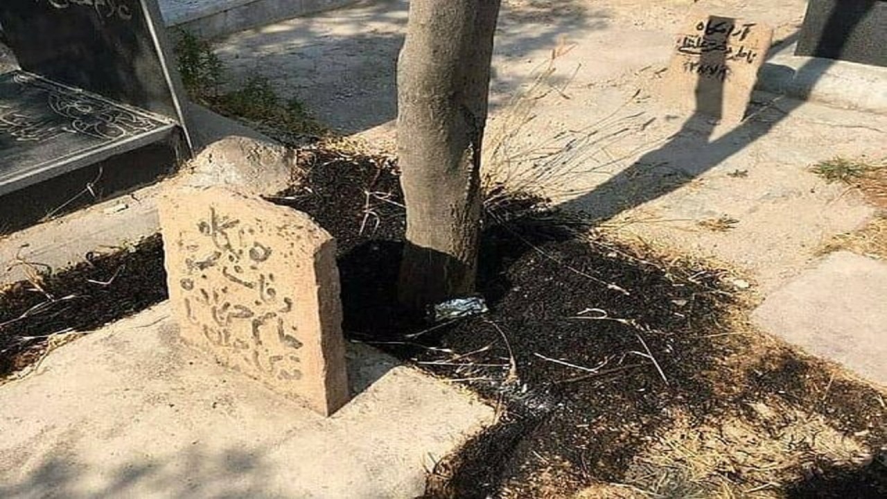 آتش سوزی درختان قبرستان بقاییه تبریز