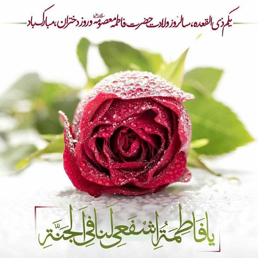 ولادت حضرت معصومه (س) و روز دختر/ &laquo;ولایتمداری&raquo; ویژگی بارز حضرت معصومه(س)