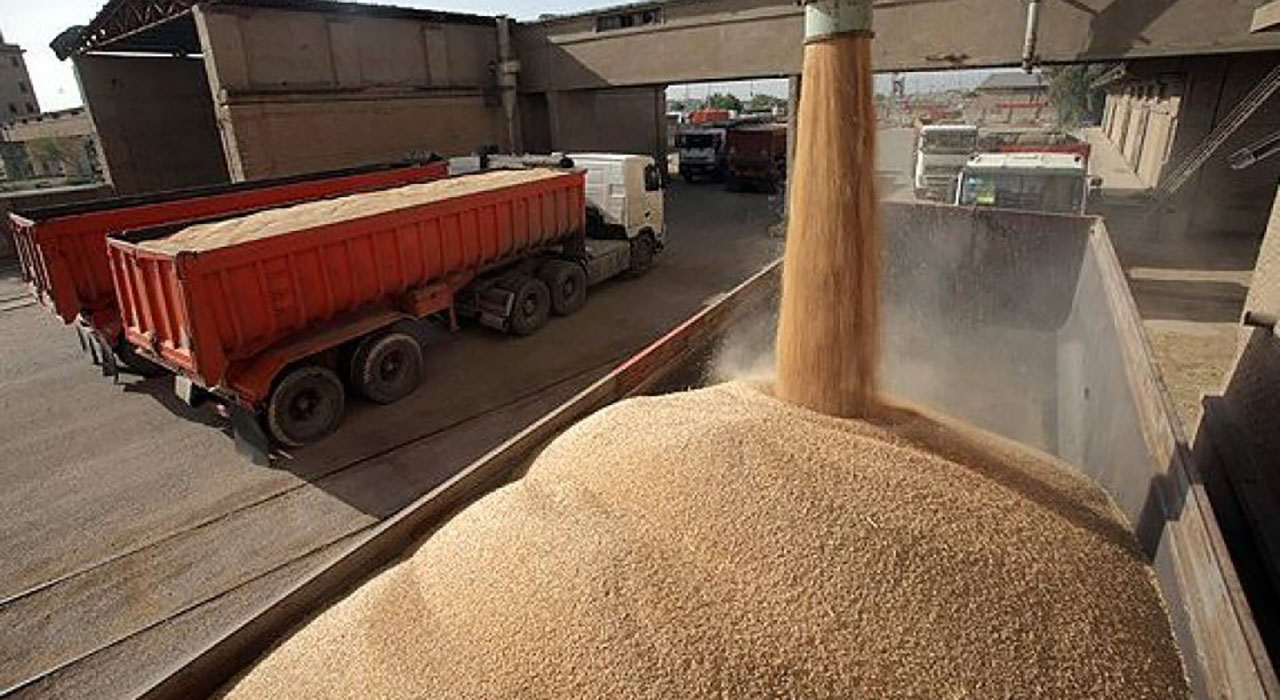 پرداخت بیش از ۴۱۰۰ میلیارد ریال بهای گندم به کشاورزان گلستانی