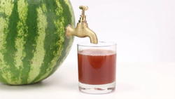 طراحی جالب هندوانه به شکل مرغابی + فیلم