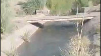 بهداشت نامناسب کانال آب در روستای طرز + فیلم