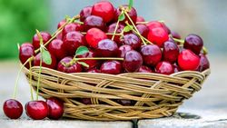 چگونه با تغذیه فشار خون را کنترل‌ کنیم؟ + فیلم