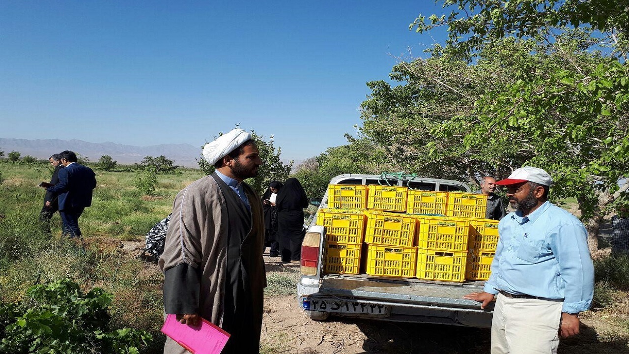 افزایش ۱۰۰ درصدی پرداخت زکات در خراسان جنوبی