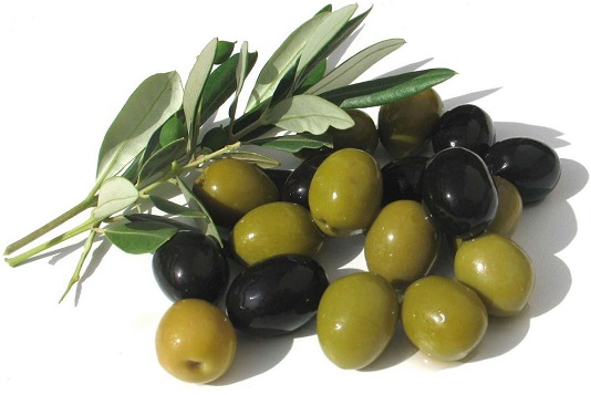 انجام ۳۵۰ میلیارد تومان سرمایه&zwnj;گذاری برای توسعه کشت و صنعت مغان/ گوسفندداری مغان احیا می&zwnj;شود
