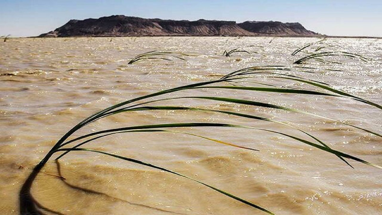 ۱۸ کیلومتر از رونگ‌های تالاب بین‌المللی هامون لایروبی شد