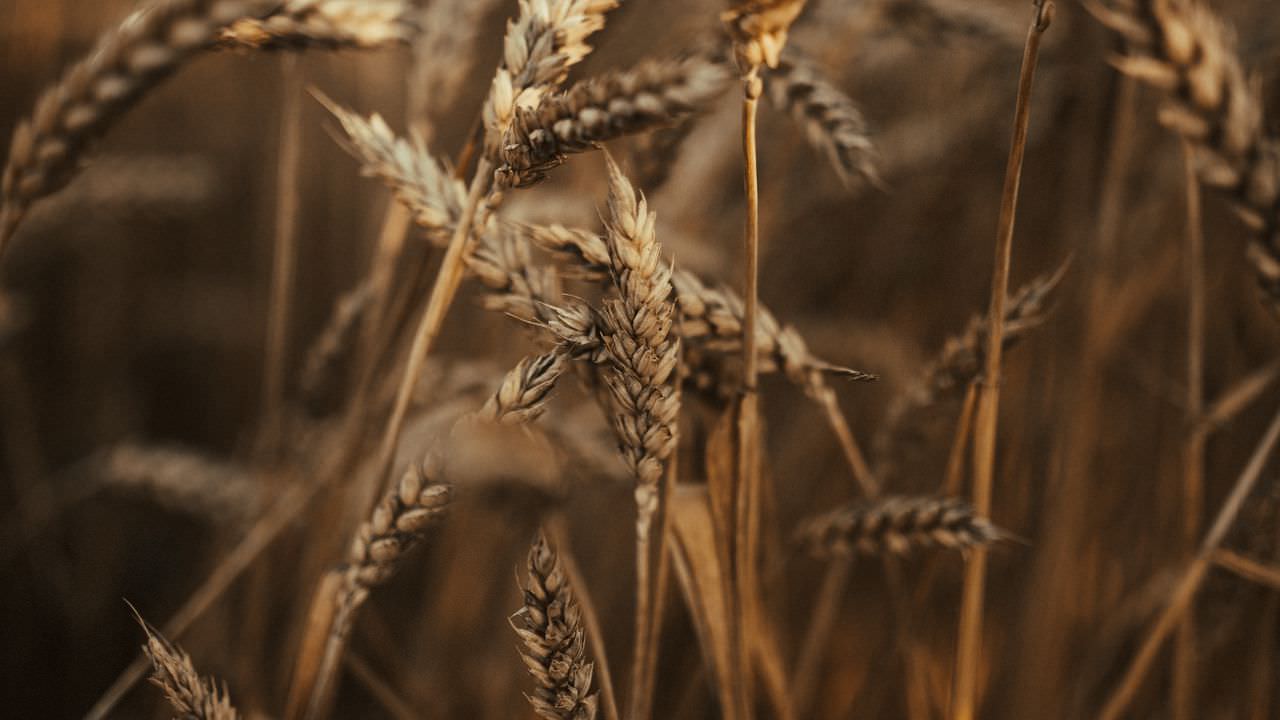 برترین تصاویر پس&zwnj;زمینه (۲۳ اردیبهشت)