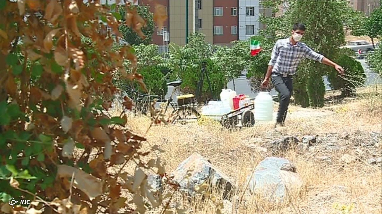 یاری طبیعت بادستان خالی جوان اراکی