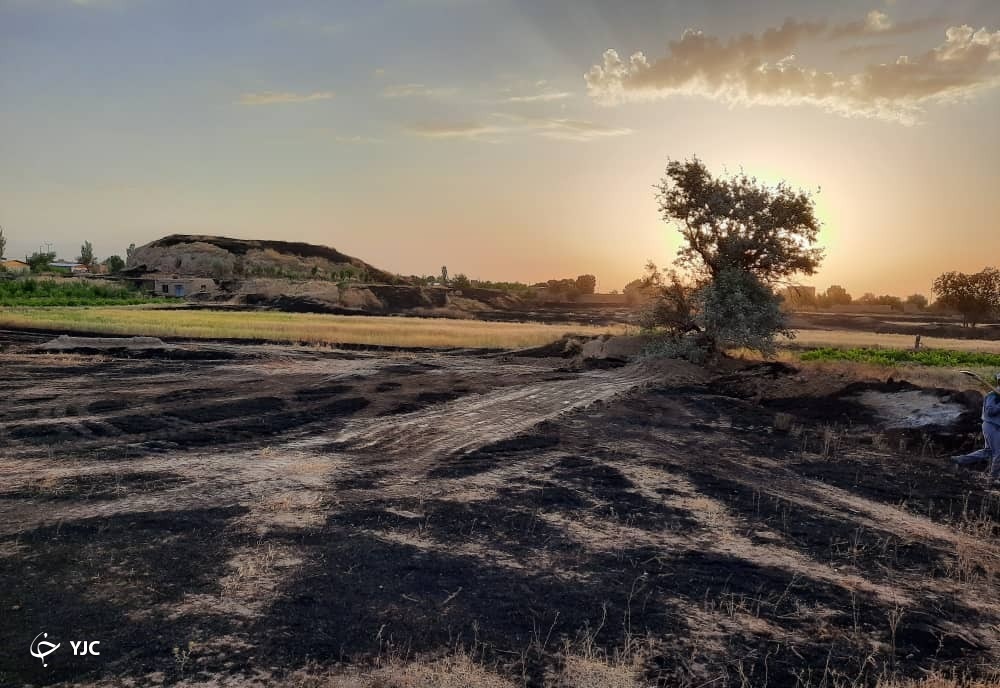 یاری طبیعت بادستان خالی جوان اراکی