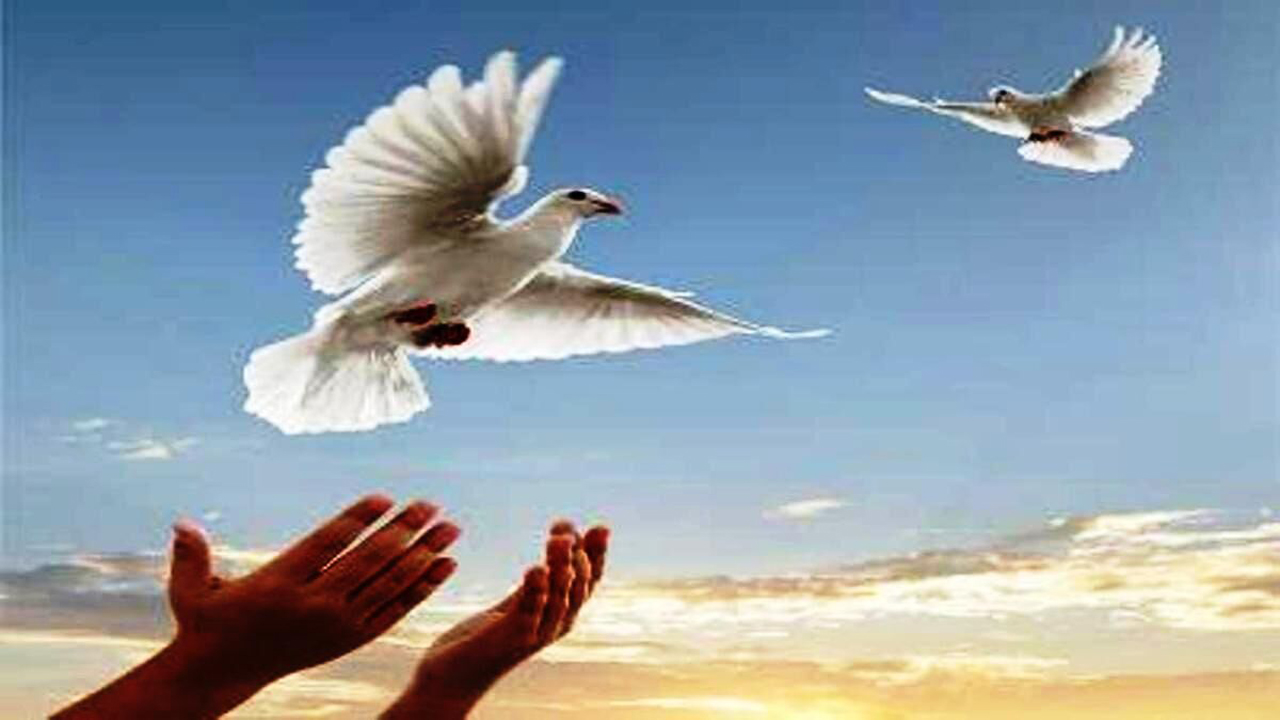 اجرای طرح آزادی زندانیان جرائم غیرعمد فارس در هفته دفاع مقدس